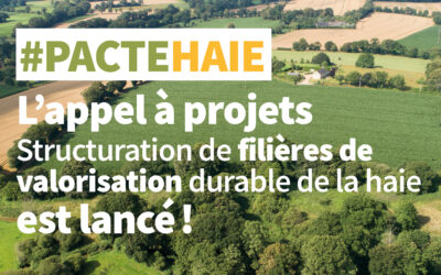 Lancement de l’AAP “filières de valorisation” – Pacte en faveur de la haie MASA & ADEME