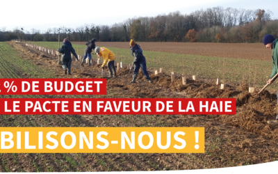 Réduction de 72% du budget du Pacte en faveur de la haie : il faut accélérer, pas reculer !