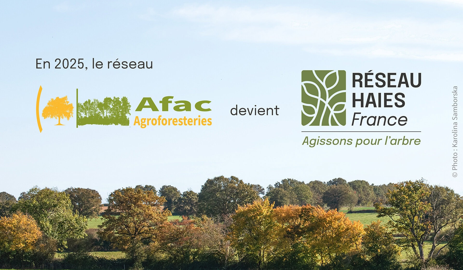 En 2025, l'Afac-Agroforesteries devient Réseau Haies France 2