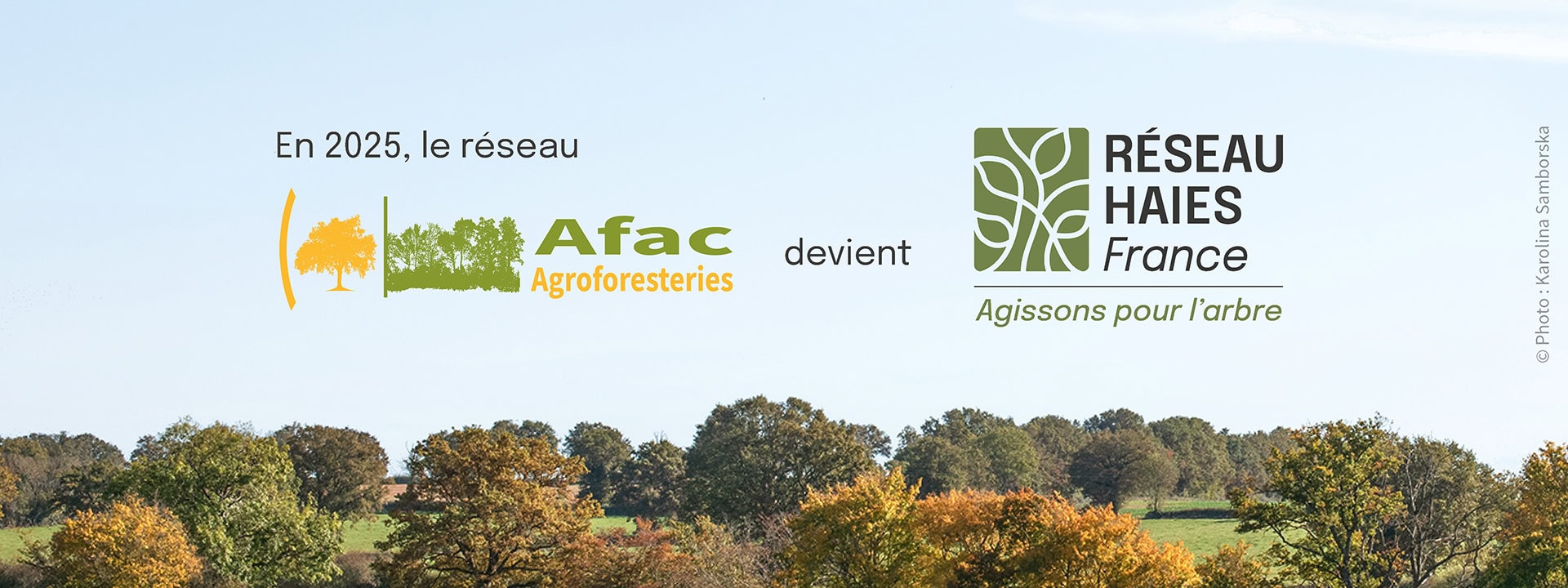 En 2025, l'Afac-Agroforesteries devient Réseau Haies France 2