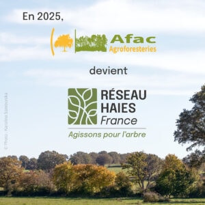 En 2025, l'Afac-Agroforesteries devient Réseau Haies France 2