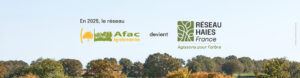 En 2025, l'Afac-Agroforesteries devient Réseau Haies France