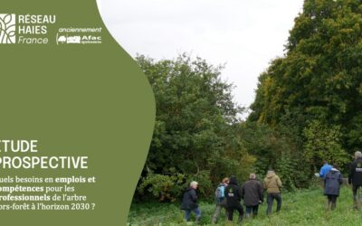 Participez à l’enquête “Besoins en emplois et compétences des professionnels de l’arbre hors-forêt”