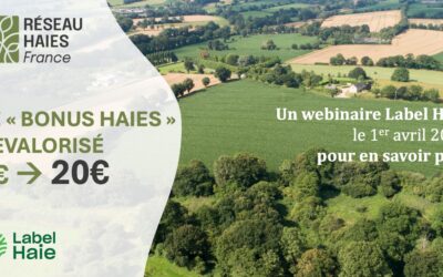 PAC 2025 : Triplement du Bonus Haies qui passe de 7 à 20€ – Webinaire le 1er avril pour en savoir plus