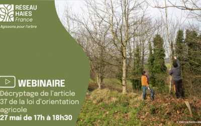 Webinaire : Loi d’Orientation Agricole – Décryptage des mesures réglementaires concernant les haies